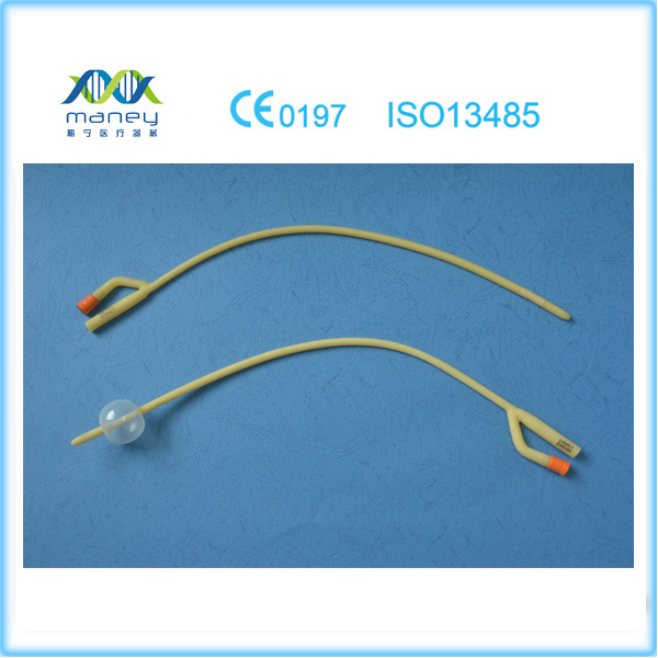 2-Way Disposable Medical Latex Foley Balloon IV Cannula Catheter (MN-FC0001)