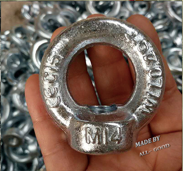 Stainless Steel Rigging Eye Bolt DIN580 SS304/316