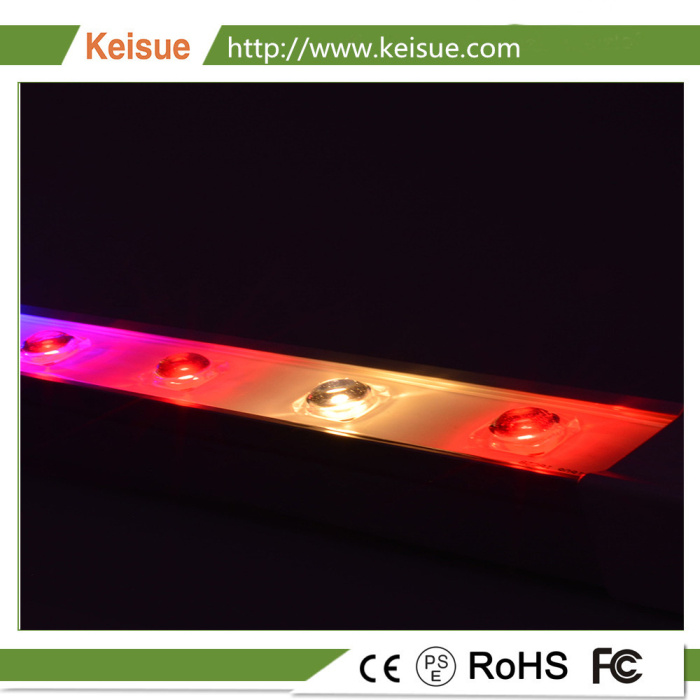 Keisue OEM Full Spectrum LED Grow Light for Plant Factory/Farm