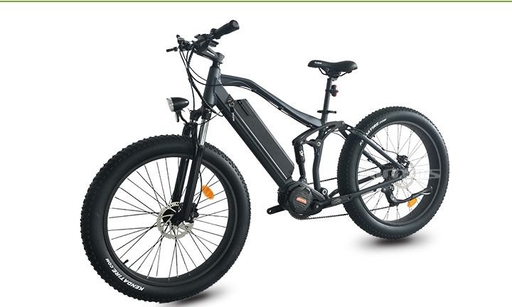 1000W MID Drive E Bike 2017 Fat Tire with Hidden Battery