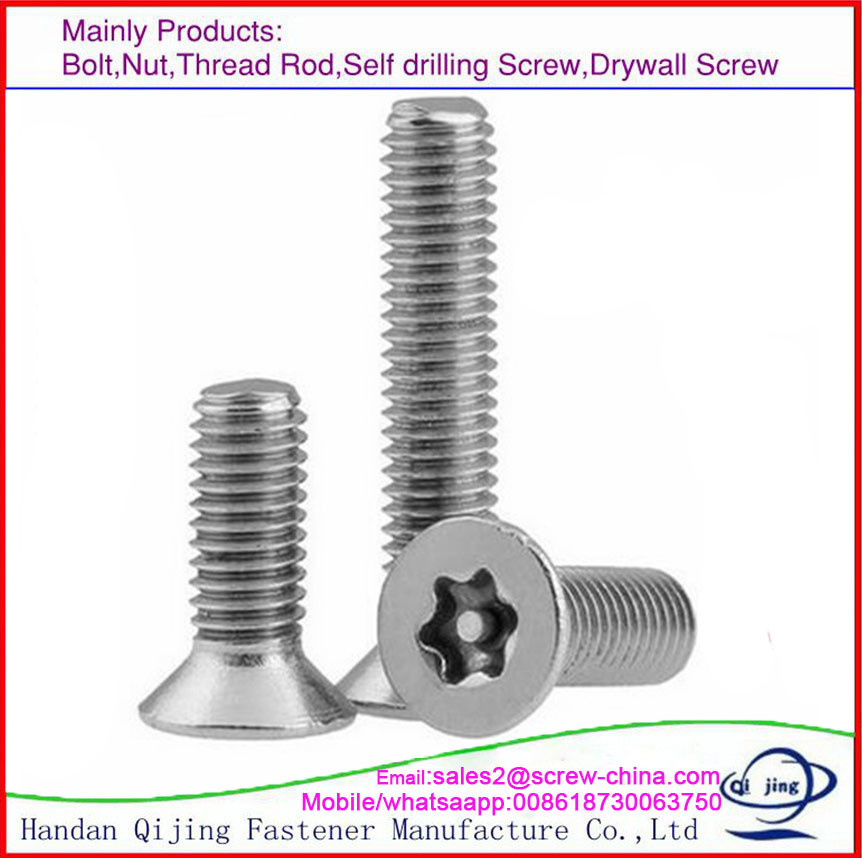 Stainless Steel Torx Pin Screws, Stainless Steel Torx Head Security Screw