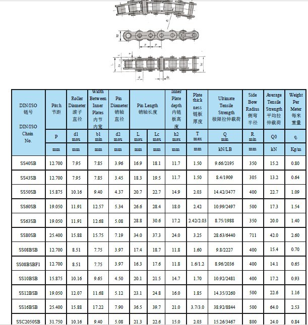 Plastic Flat Top Conveyor Chain (TS550SS-P, TS635SS-P, TS762SS-P, TS826SS-P)