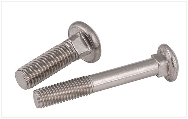 Stainless Steel Hex Head Flange Carriage Bolt & Nut