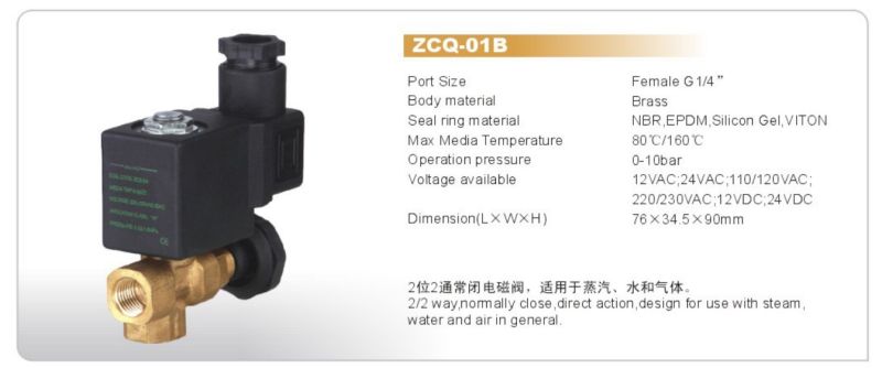 Bona Steam Brass Solenoid Valve (ZCQ-01B)