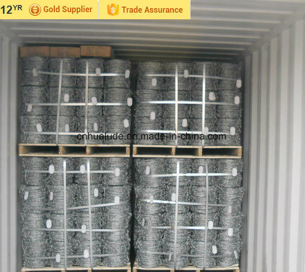 Hualude Best Galvanized Iron Barbed Wire Manufacturer