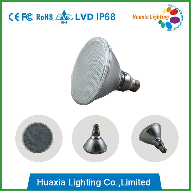 8W 12W Ce RoHS PAR38 LED Pool Light / Underwater Light