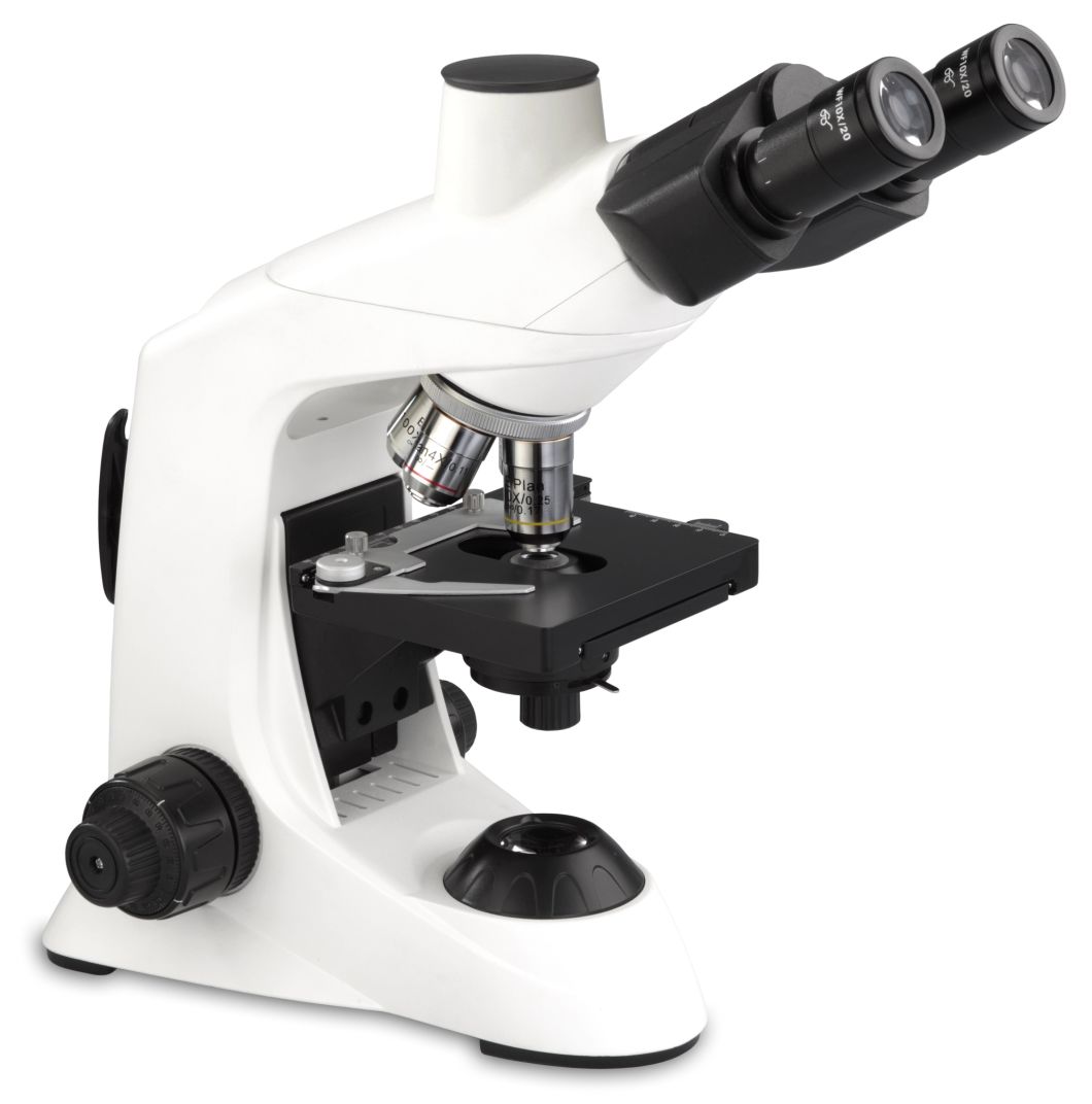 Camera Biological Microscope for Biological Trinocular Microscope Lab&Nbsp; Equipment