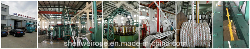 All Kinds 4mm-96mm Mooring Rope with Certificates