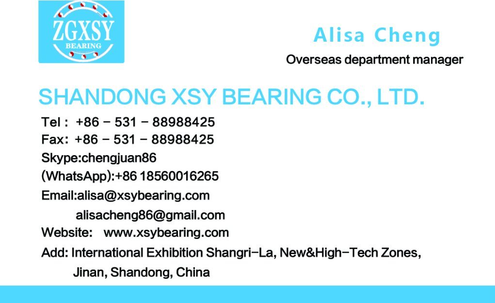 1312/1312k Ceramic Bearings Self-Aligning Ball Bearing