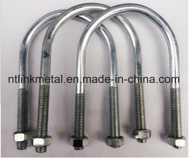 Stainless Steel or Galvanized U Bolt