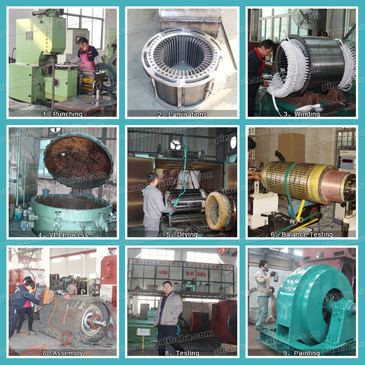 T Series Synchronous High Voltage Electric Motor