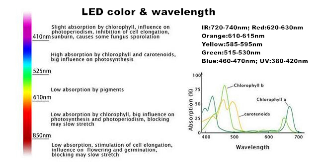 Energy-Saving High Quality LED Grow Light for Hydroponics