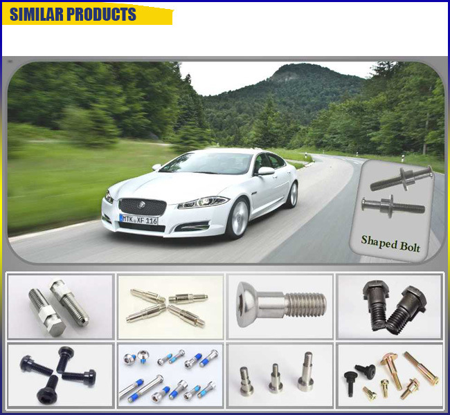 Special OEM Plating Semi-Thread Bolt