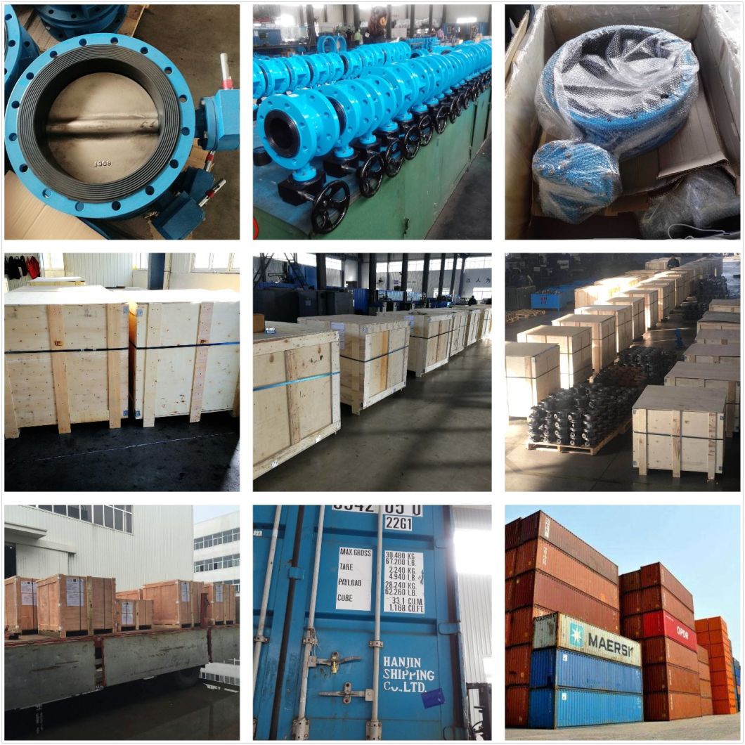 Pneumatic Center Line Flanged Control Butterfly Valve