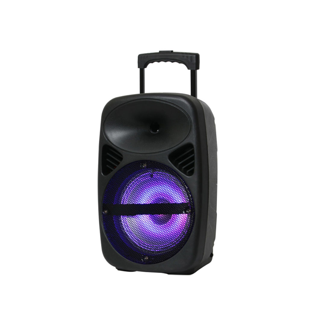 8 Inch Portable PRO Audio Active Sound Speaker Box Trolley Bluetooth Speaker