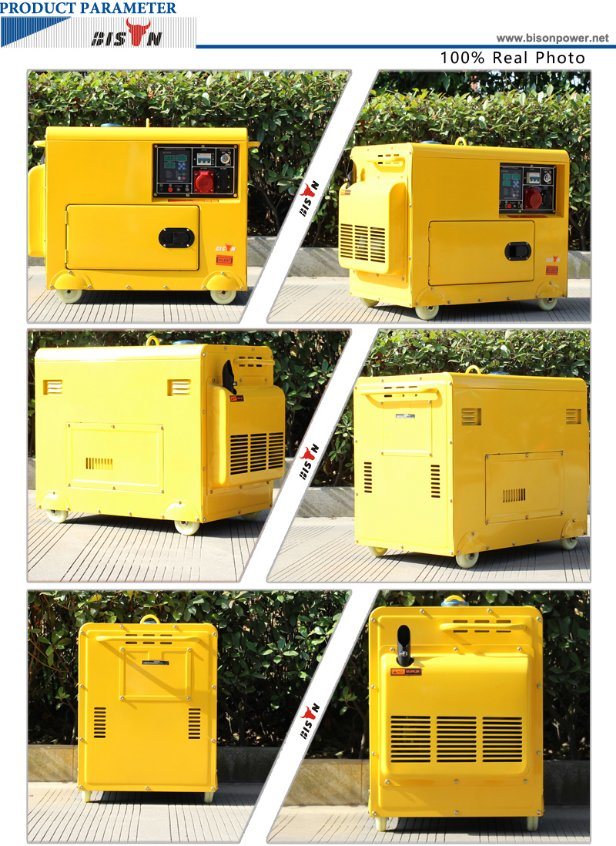 Bison (China) BS7500dse 6kw 1 Year Warranty Small MOQ Fast Delivery OEM Factory Diesel Generator Price in Brazil for Sale