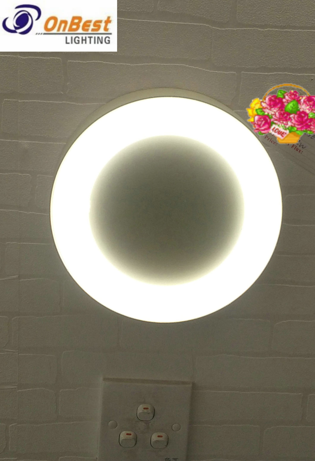 Decorative Round Light 12W LED Ceiling Light in IP65 Waterproof