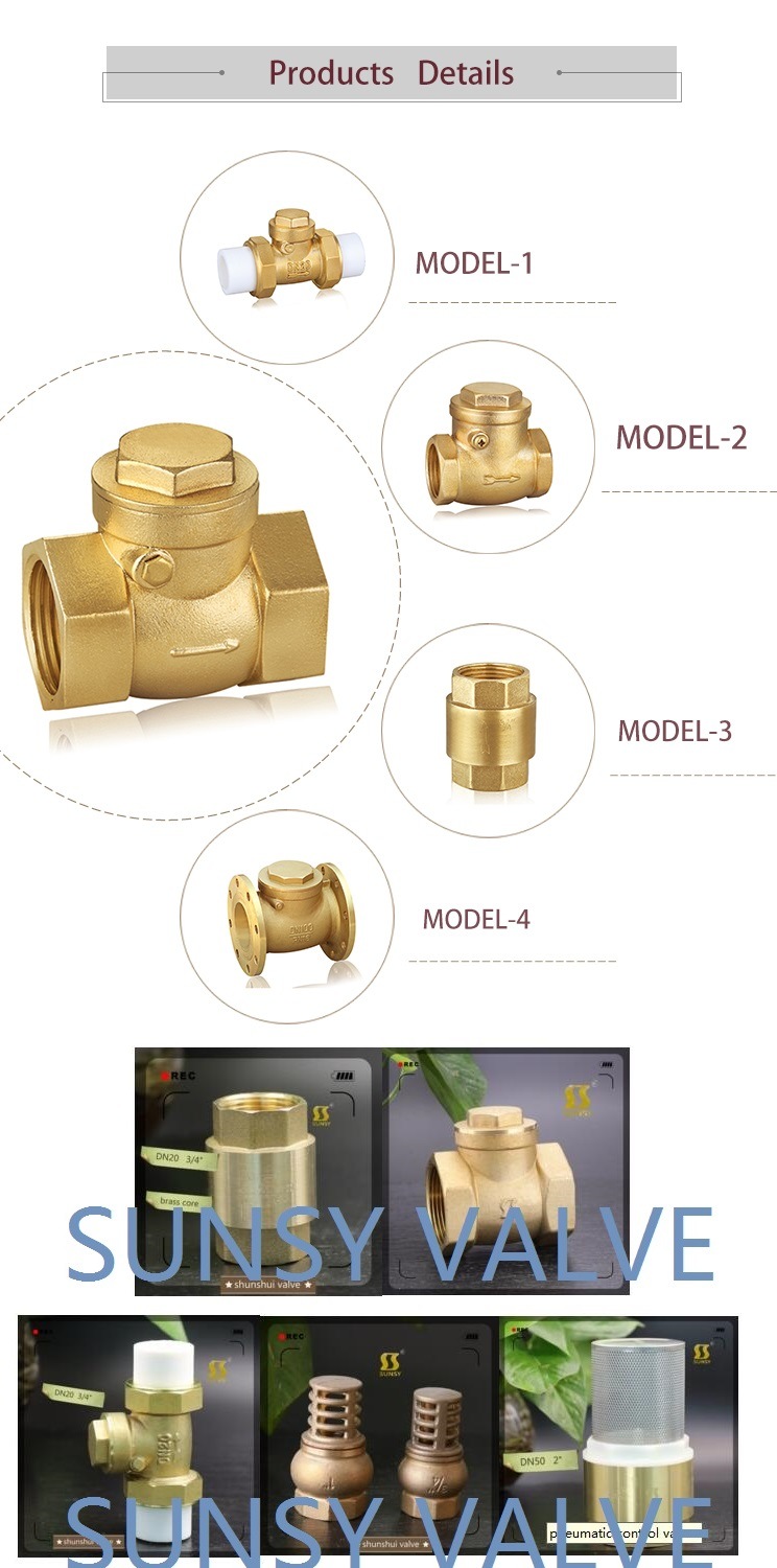 Ss6010 NPT Bsp Brass Swing Horizontal Check Valve