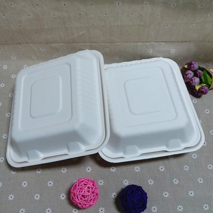 One Time Use Biodegradable Tableware 3 Compartment Disposable Lunch Box