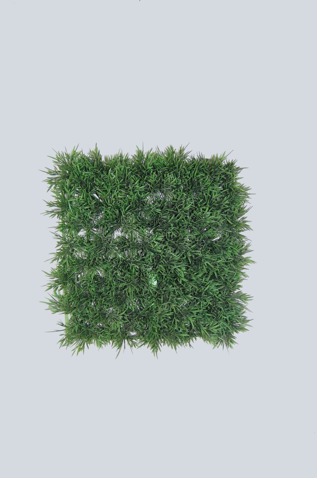 PE Grass Artificial Turf for Home Decoration with SGS Certificate (44961)