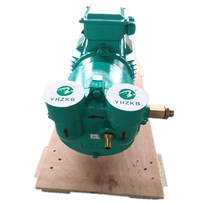 2BV2 071 Vacuum Pump for Wood Plate Extrusion Line