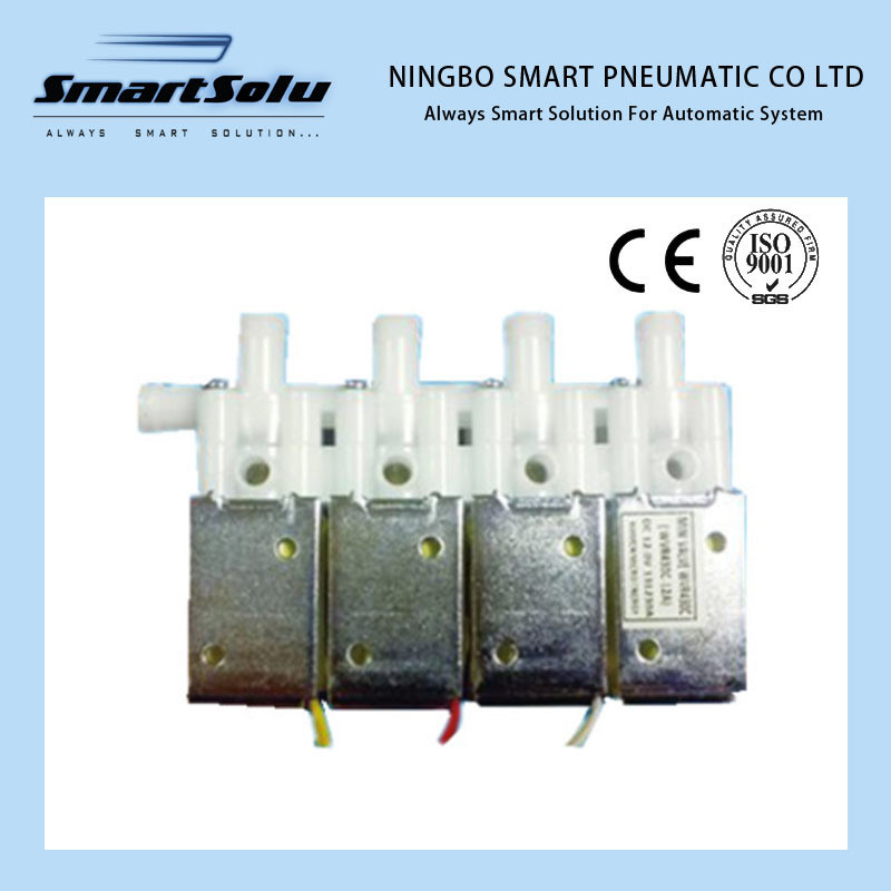 Smart High Quality Mini Solenoid Valve Wvl430d-24A