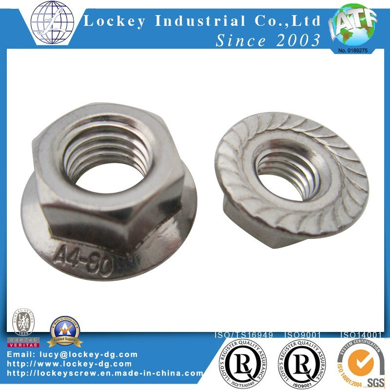 Passivated Stainless Steel Nut, Hex Nut, Flange Hut, Nylon Nut, Cap Nut, Wing Nut