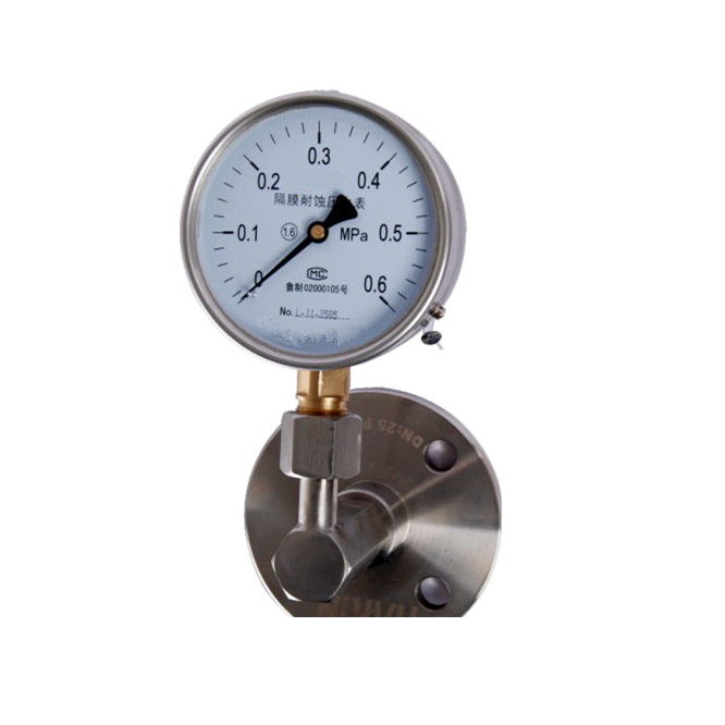 Made in China Diaphragm-Seal Pressure Gauge Manometer