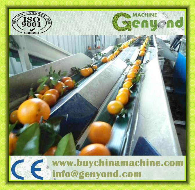 Fruit Washing Waxing Drying and Grading Machine