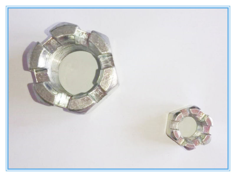 DIN935 Castle Nut/ Hex Slotted Nuts for Industry