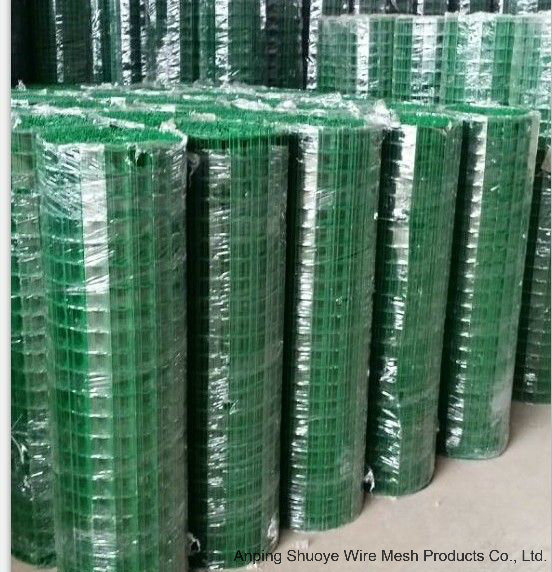 Low Carbon Steel 1X1 Inch Welded Wire Mesh (SGS)