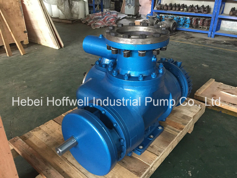 W. V Multi-phase Heavy Oil Double Screw Pump