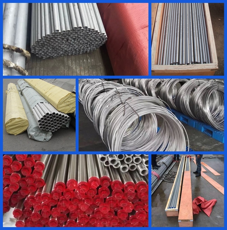 ASTM A312 A312 Seamless and Welded Stainless Steel Tube / Stainless Steel Pipe