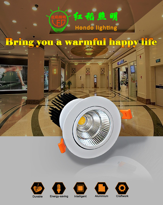 Angle Adjustable 15W COB Indoor LED Spotlight