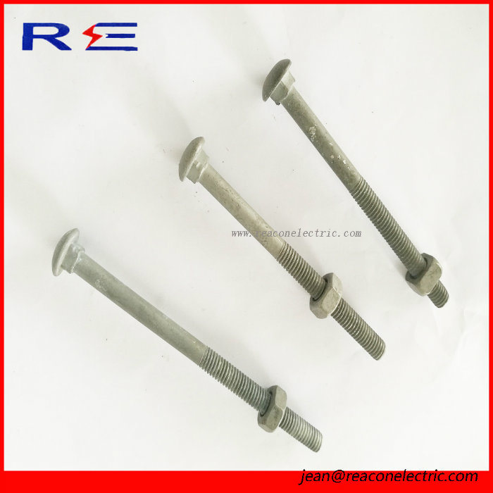 Galvanized Carriage Bolt with Square Shoulder and Square Nut (A03)