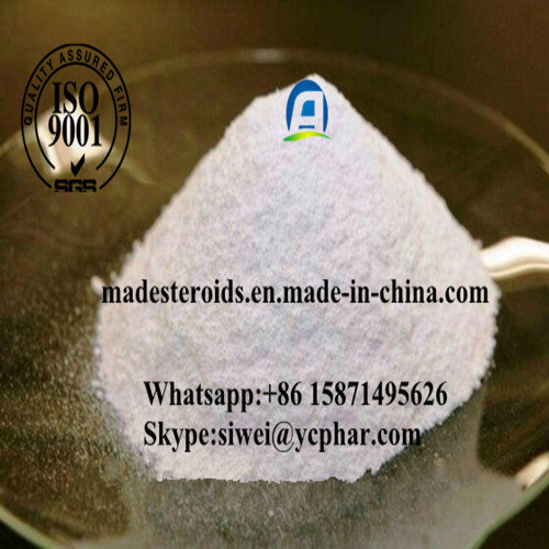 Positive Plant Extract Pure Synephrine Powder for Weight Loss CAS 94-07-5