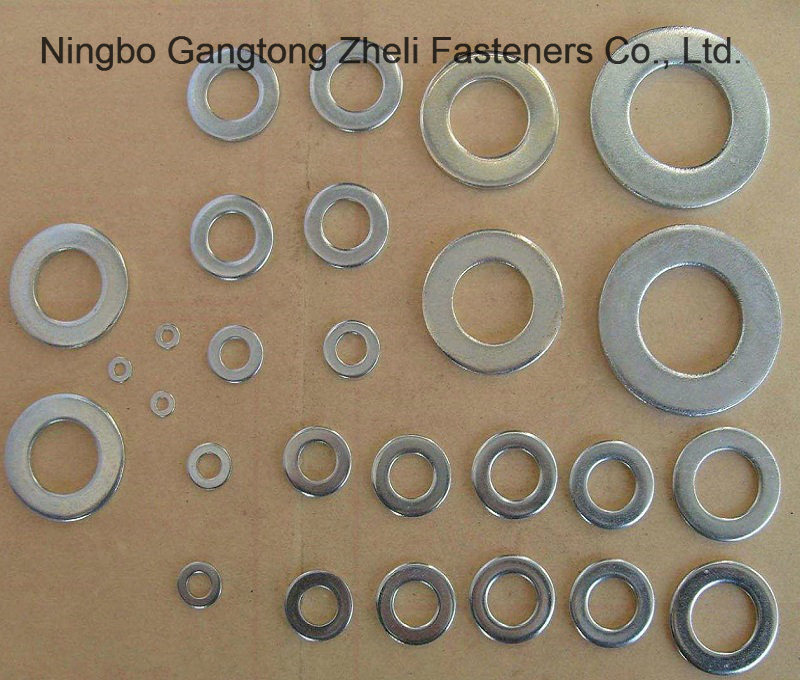 Free Sample Fasteners Carbon Steel DIN125 Flat Washer