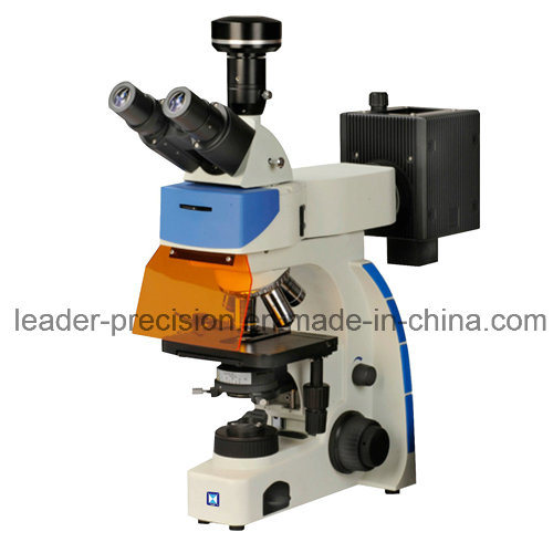 LED Illumination Trinocular Digital Fluorescence Biological Microscopes (LF-302)