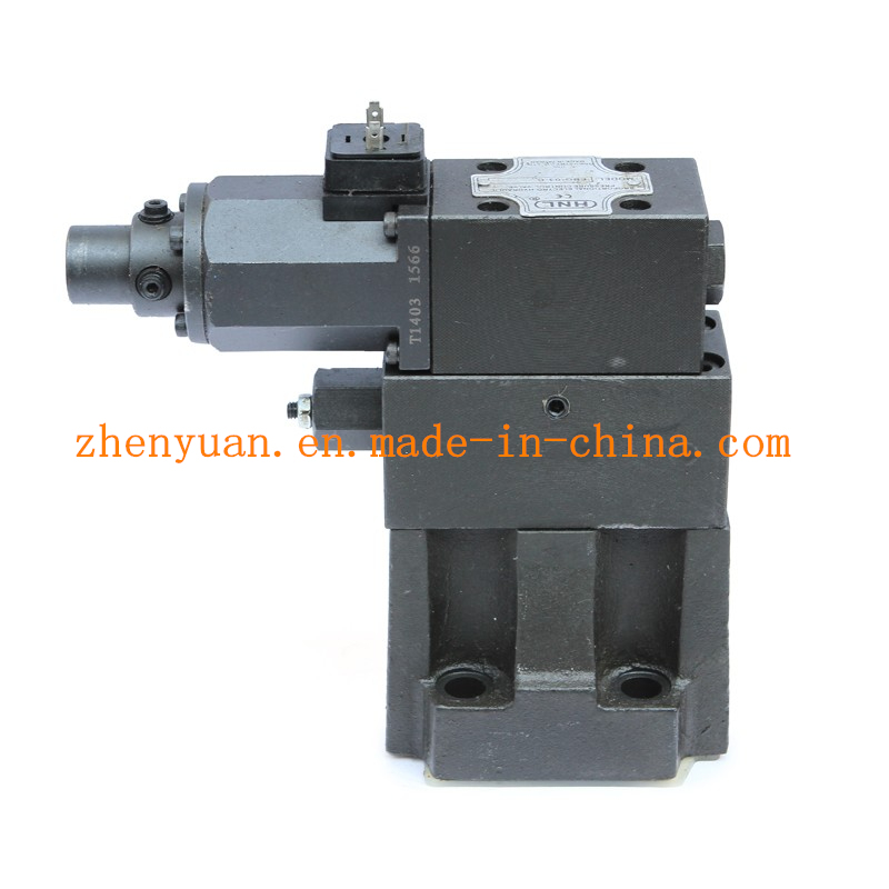 Overflow Valve Ebg-03-C/06-C/H for Injection Molding Machine