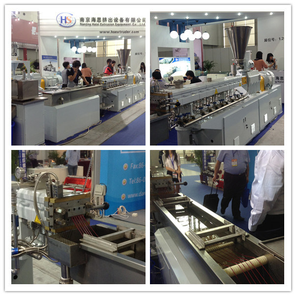 Twin Screw Plastic Extruder Granulator