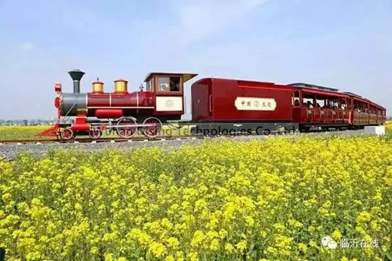 Playground Children Adults Ride Mini Track and Rail Train Powered by Gasoline Fuel