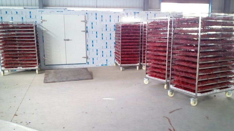 Industrial Batch Type Pepper Drying Machine / Pepper Dryer