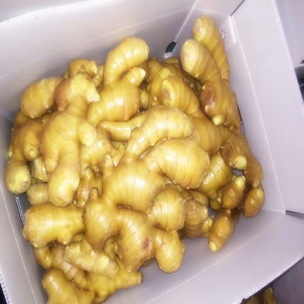 Yellow Fresh Fat Foot Ginger (250g)