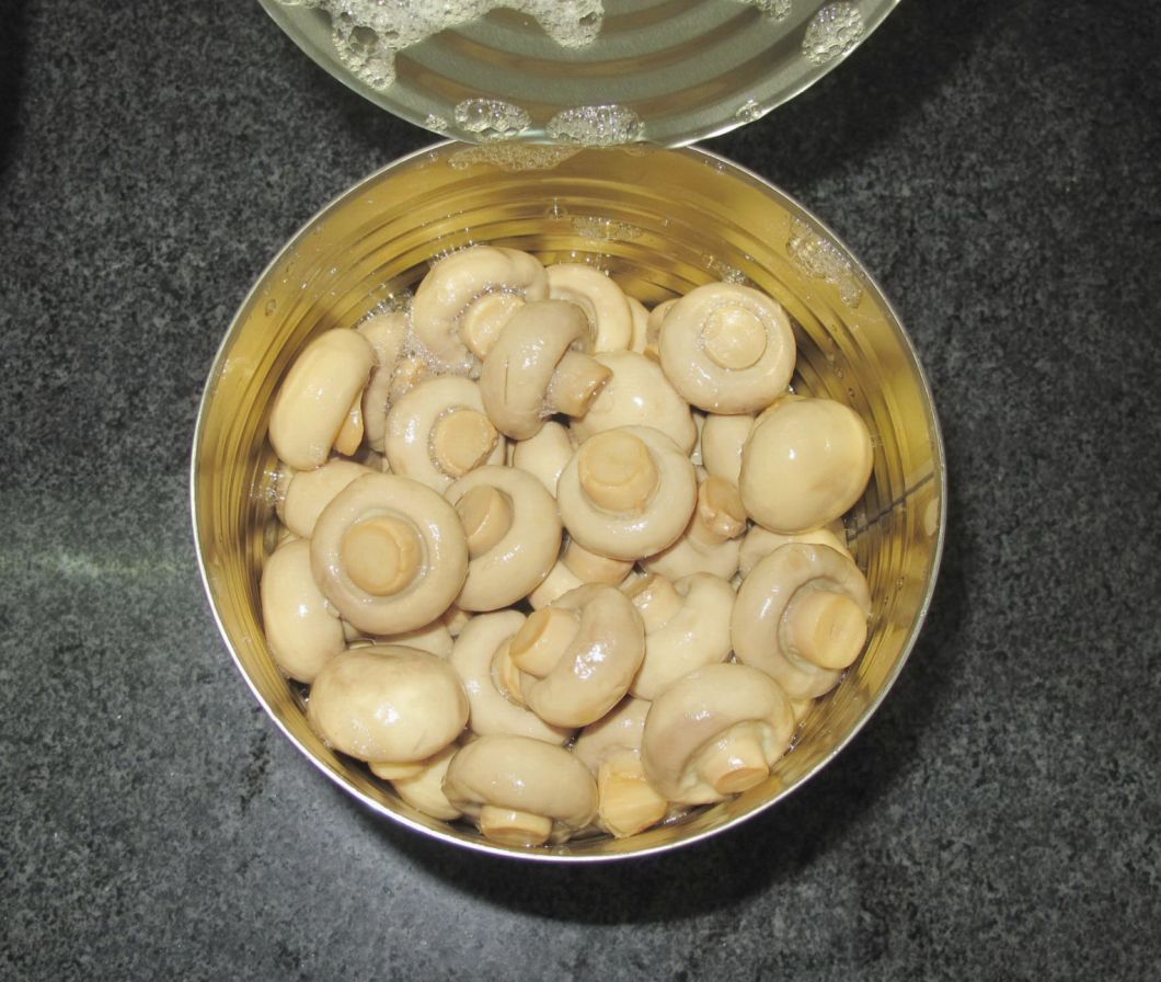 China Canned Fresh Whole Mushroom in 425g Eol