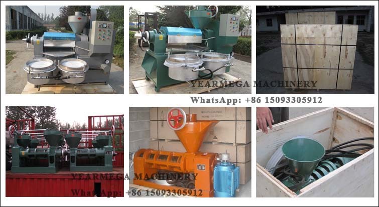 Hot Selling Product Oil Expeller Machine with Ce Certificate
