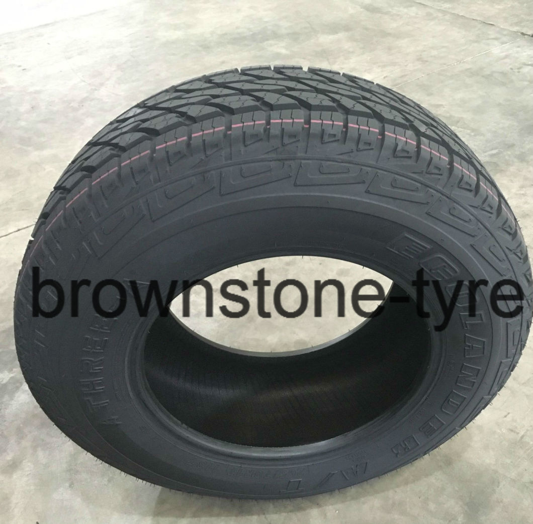 Winter Snow Car Tire for Canada, Russia, Europe, DOT, ECE, EU Label