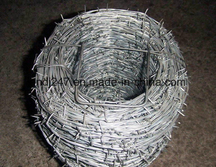 Galvanized Barbed Wire/PVC Coated Barbed Wire