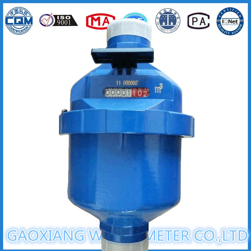 Dn15-25 Piston Volumetric Water Meter with R160 Class C Water Meter