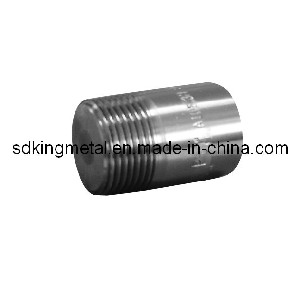 Forged Stainless Steel 6000lbs Socket Welding Pipe Fitting (SGS, CE, ISO)