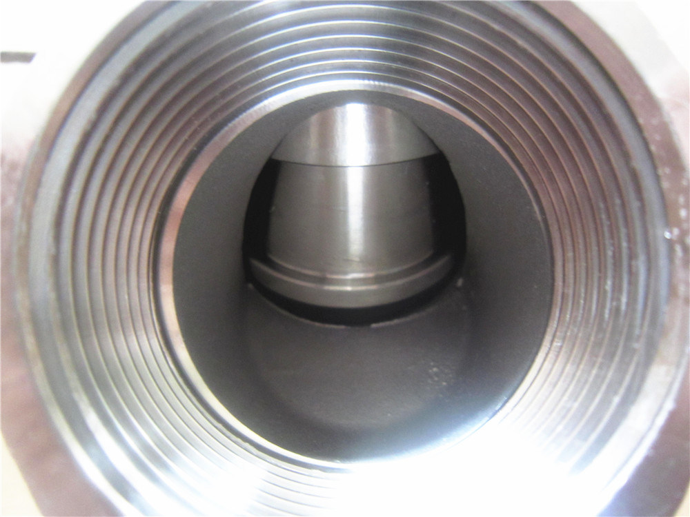 800wog Ss Piston Type Y Type Check Valve